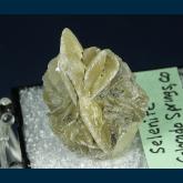 TN307 Gypsum (v. Selenite) from Colorado Springs, El Paso Co., Colorado, USA