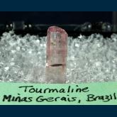 TN313 Elbaite tourmaline (gemmy!) from Minas Gerais, Brazil