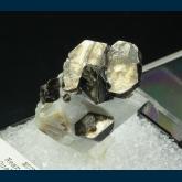 Phlogopite on Calcite  (W. Perkin mount)