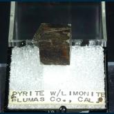 T-096 Pyrite coated with Limonite from Plumas Co., California, USA