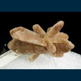 T-118 Gypsum (var. Selenite) (W. Perkin mount) from Great Salt Plains, near Jet, Alfalfa County, Oklahoma, USA