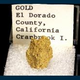 T-023 Gold from Mother Lode Belt, El Dorado Co., California, USA