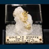 T-024 Gold in Quartz from Queen Mine, Snow Peak,Gold Hill, Nevada, USA