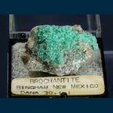 T-193 Bronchantite from Blanchard Mine, Hansonburg District, Bingham, Socorro County, New Mexico, USA