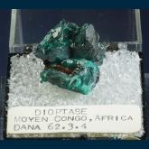T-209 Dioptase from Reneville area, Kindanba District, Pool Department, Republic of Congo (Brazzaville), Africa