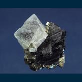 Fluorite and Pyrite on Wolframite