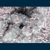 CRG-06 Rhodochrosite and Fluorite on Quartz from Wutong Mine (Wudong Mine), Liubao, Cangwu Co., Wuzhou Prefecture, Guangxi Zhuang A.R., China