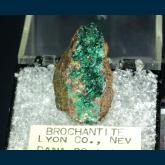 TN366 Brochantite from Douglas Hill Mine, Ludwig, Yerington District, Lyon Co., Nevada, USA