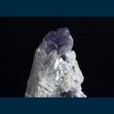 F240 Fluorite on Quartz from Yaogangxian Mine, Yizhang Co., Chenzhou Prefecture, Hunan, China