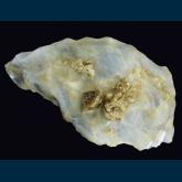 CQ01 Vesuvianite in Calcite from Crestmore quarries, Crestmore, Riverside Co., California, USA