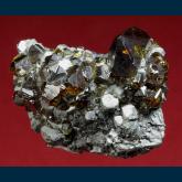 GR143 Sphalerite ( var. Cleophane ) on Galena from Deveti Septemvri (9th of September) mine, Madan ore field, Rhodope Mts, Smolyan Oblast, Bulgaria