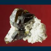 GR144 Sphalerite ( var. Cleophane ) on Quartz from Deveti Septemvri (9th of September) mine, Madan ore field, Rhodope Mts, Smolyan Oblast, Bulgaria