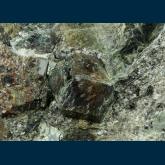 RG0965 Almandine garnet in Biotite schist from Harstad, Troms Fylke, Norway