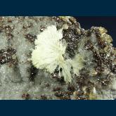 Strontianite with Sphalerite and Calcite