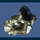 581 Quartz ( var. Smoky ) from 4 V's Mine, Lolo Pass, Missoula County, Montana, USA