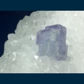 F466 Fluorite on Quartz Epimorph of Calcite from La Viesca Mine, Huergo, La Collada, Siero, Asturias, Spain