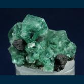 Fluorite with Galena