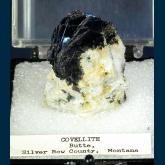 ES-03 Covellite from Butte District, Silver Bow Co., Montana, USA