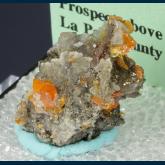 TN101 Wulfenite from Melissa Mine, Silver District, La Paz Co., Arizona, USA