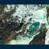 TN140 Dioptase on Chrysocolla from Ray Mine, Ray District, near Kearney, Dripping Springs Mts., Pinal County, Arizona, USA
