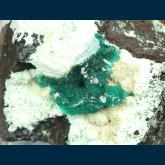 TN141 Dioptase on Chrysocolla from Ray Mine, Ray District, near Kearney, Dripping Springs Mts., Pinal County, Arizona, USA