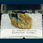 TN211 Clinoclase from Eureka District, Eureka Co., Nevada, USA