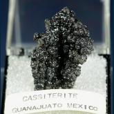 TN220 Cassiterite from Santín Mine, Cerro de las Fajas, Santa Catarina, Mun. de Santa Catarina, Guanajuato, Mexico