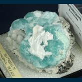 PE178 Smithsonite from Chihuahua, Mexico
