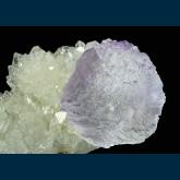 F312 Fluorite on Quartz from Mex-Tex Mine, Hansonburg District, Bingham, Socorro County, New Mexico, USA