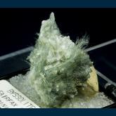 TN234 Actinolite (Var. Byssolite) on Hydroxyapophyllite-(K) from Fairfax Co., Virginia, USA