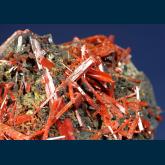 CMS214 Crocoite from Adelaide Mine, Dundas mineral field, Zeehan District, Tasmania, Australia