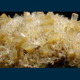 CMS254 Gypsum ( var. Selenite ) from Swan Hill, Victoria, Australia