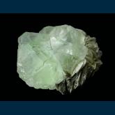 F211 Fluorite on Muscovite from Nagar Valley, Gilgit District, Gilgit-Baltistan, Pakistan