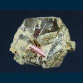 AGB-1217 Elbaite tourmaline with Quartz from Mesa Grande, San Diego Co., California, USA
