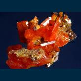 RG0658 Wulfenite from Red Cloud Mine, Silver District, Trigo Mts., La Paz County, Arizona, USA
