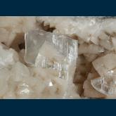 PE05 Dolomite with Gypsum (var. Selenite) from Lafarge Corp. Quarry, Lockport, Niagra Co., New York