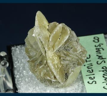 TN307 Gypsum (v. Selenite) from Colorado Springs, El Paso Co., Colorado, USA