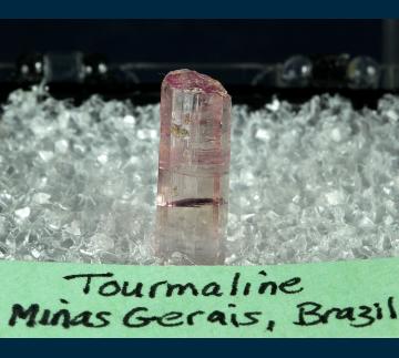 TN313 Elbaite tourmaline (gemmy!) from Minas Gerais, Brazil