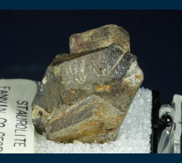 TN318 Staurolite from Fannin Co., Georgia, USA
