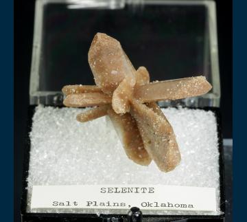 T-118 Gypsum (var. Selenite) (W. Perkin mount) from Great Salt Plains, near Jet, Alfalfa County, Oklahoma, USA