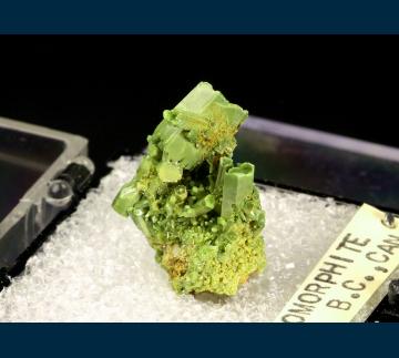 T-021 Pyromorphite from North Star Mine, Moyie, Fort Steele Mining Division, British Columbia, Canada