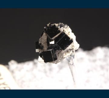 T-049 Bixbyite on Hematite (pseudo. Garnet) from Thomas Range, Juab County, Utah, USA