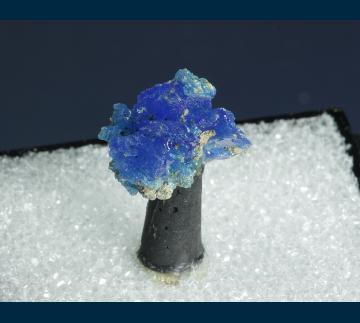 T-194 Chalcanthite from Majuba Hill Mine, Antelope District, Pershing Co., Nevada, USA