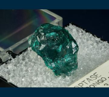 T-210 Dioptase from Reneville area, Kindanba District, Pool Department, Republic of Congo (Brazzaville), Africa