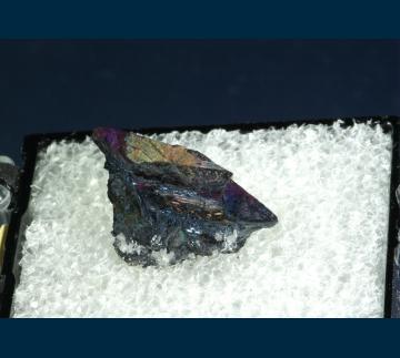 T-167 Covellite from Butte, Butte District (Summit Valley District), Silver Bow Co., Montana, USA