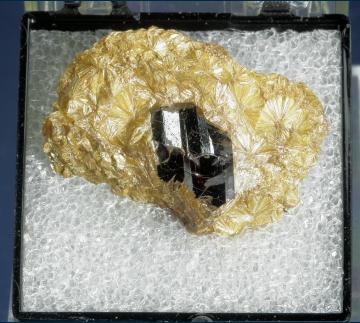 T-182 Rutile on Pyrophyllite from Champion Mine, White Mts., Mono County, California, USA
