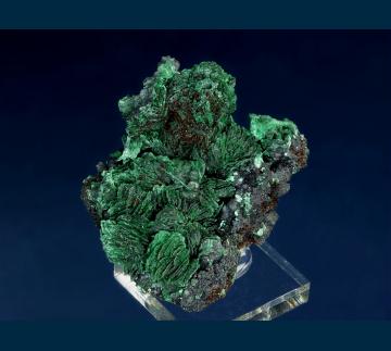 JRT7 Malachite (pseudo Azurite) from Morenci Pit, Clifton-Morenci District, Greenlee County, Arizona, USA