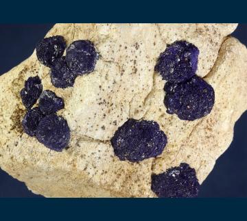 MMH-09 Azurite on sandstone from Hanover #2 Mine, Hanover-Fierro District, Grant Co., New Mexico, USA