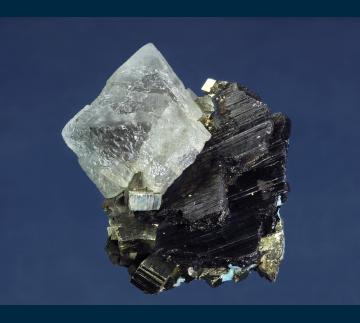 MMH-12 Fluorite and Pyrite on Wolframite from Kara-Oba W deposit, Betpakdala Desert, Karagandy Province, Kazakhstan