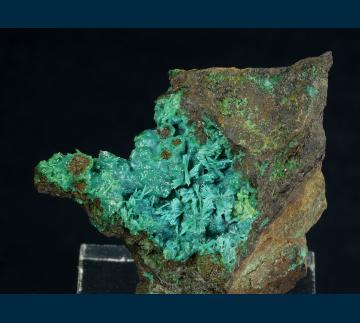 JL3-05 Chrysocolla (pseudo Brochantite) from Reward Mine, Russ District, Inyo Co., California, USA